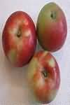 Apples, cooking, raw, flesh only, weighed with skin and core