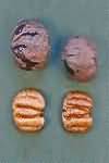 Barcelona nuts, kernel only, weighed with shells