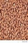 Buckwheat, groats
