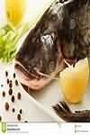 Catfish, raw