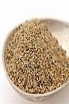 Celery seeds