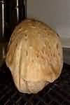 Chapatis, made without fat