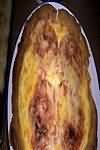 Cheese sauce, packet mix, made up with semi-skimmed milk, homemade