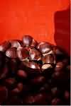Chestnuts, kernel only, raw, weighed with shells