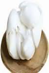 Coconut, flesh only, fresh