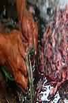 Coley, flesh only, raw