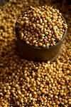 Coriander seeds