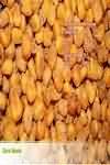 Corn snacks