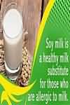 Cream substitute, single