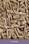 Cumin seeds