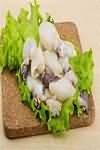 Cuttlefish, raw
