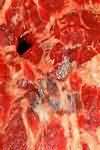 Dates, raw, flesh and skin