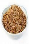 Dill seeds