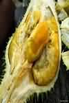 Durian, flesh only