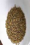Fenugreek seeds