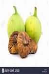 Figs, whole green fruit, raw