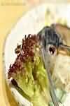 Flying fish, raw