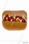 Frankfurter with bun