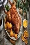 Goose, meat, raw, fat and skin