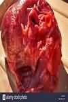 Heart, pig, raw