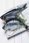 Herring, flesh only, raw