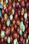 Jujube, flesh only