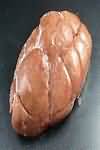 Kidney, ox, raw