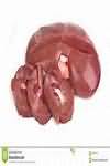Kidney, pig, raw