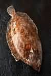 Lemon sole, flesh only, raw
