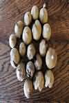 Medlars, flesh only