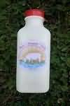Milk, sheeps, raw