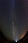 Milky Way and own brand equivalents