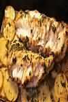 Monkfish, flesh only, grilled