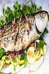 Mullet, Grey, flesh only, grilled