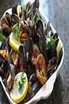 Mussels in white wine sauce, cooked