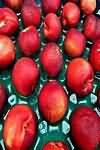 Nectarines, flesh and skin, weighed with stones