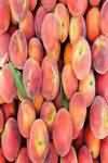 Nectarines, flesh and skin