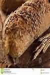 Pastry, wholemeal, uncooked, homemade