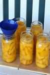 Peaches, canned in syrup, whole contents