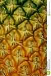 Pineapple, raw, flesh only