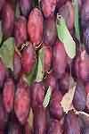 Plums, Victoria, flesh and skin, raw