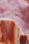 Pork, fillet, raw, lean and fat