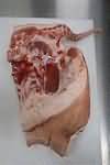 Pork, leg joint, frozen, roasted, lean and fat