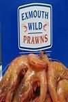 Prawns, king, purchased cooked