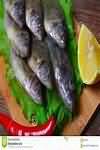 Redfish, raw