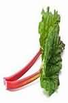 Rhubarb, stems only, stewed with sugar