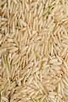 Rice, brown, wholegrain, raw