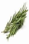 Rosemary, fresh