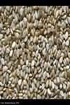 Sesame seeds