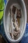 Squid, raw
